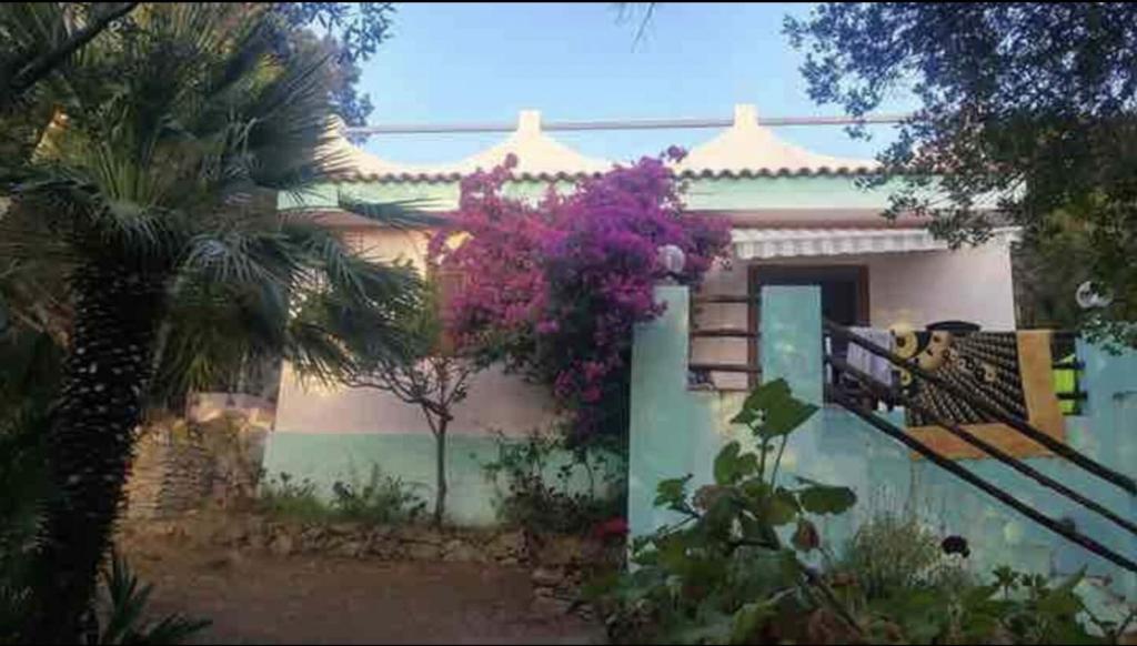 Casa Deiana con stupenda vista mare photo 4