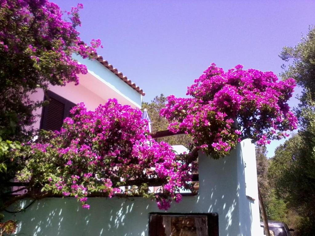 Casa Deiana con stupenda vista mare photo 1