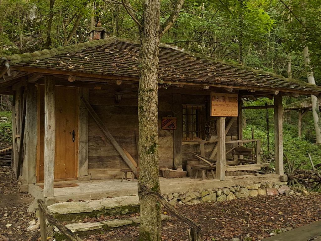 Brvnara u planini photo 2