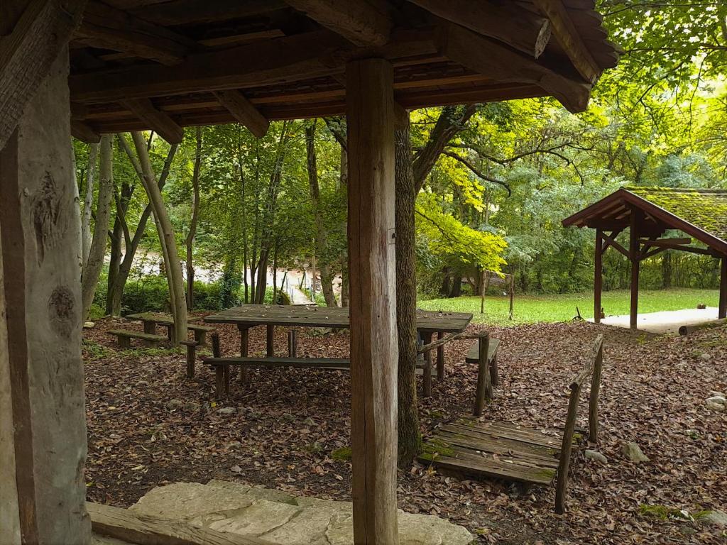 Brvnara u planini photo 4