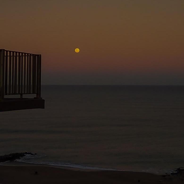 Departamento en la PLAYA Y CENTRO de Miramar para 3 personas photo 1