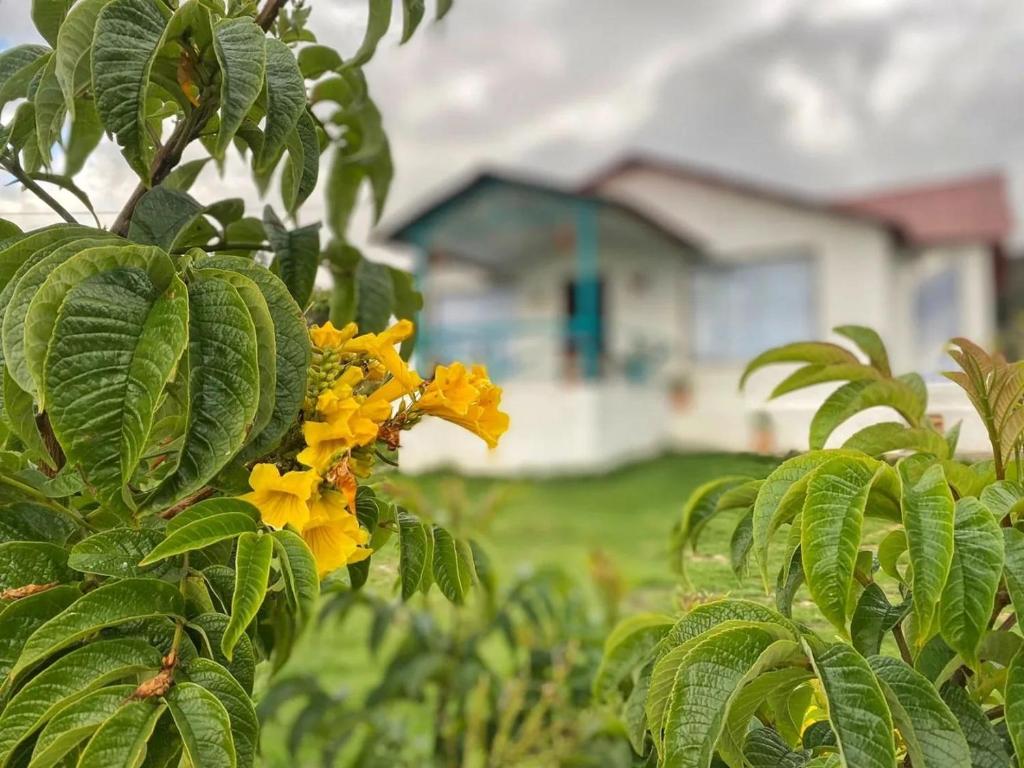 Casa Campestre Sua Meca Guatavita photo 1