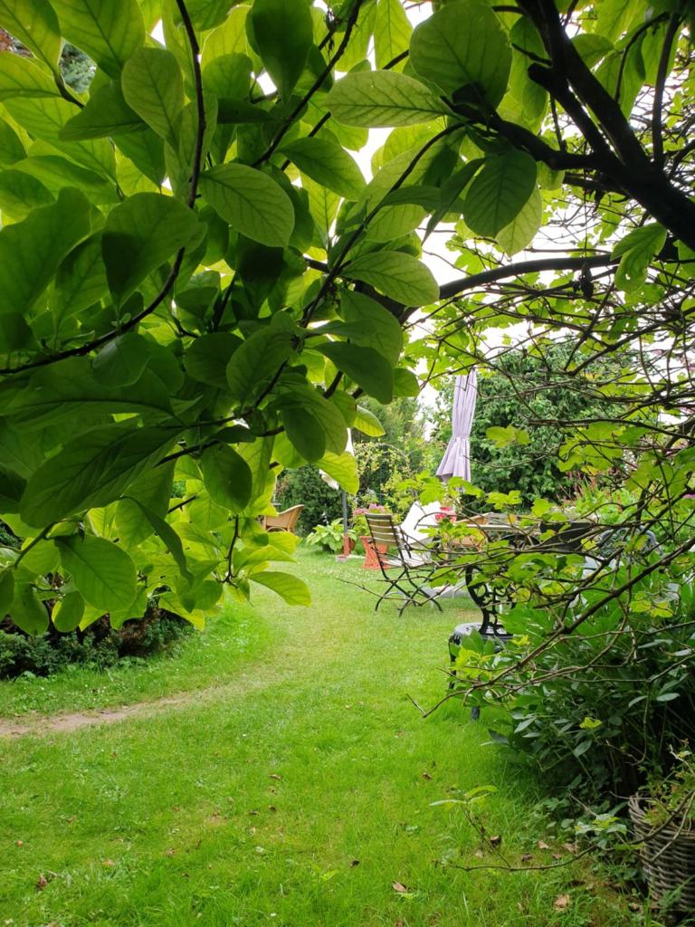 B&B aan de Limes in Maurik photo 1