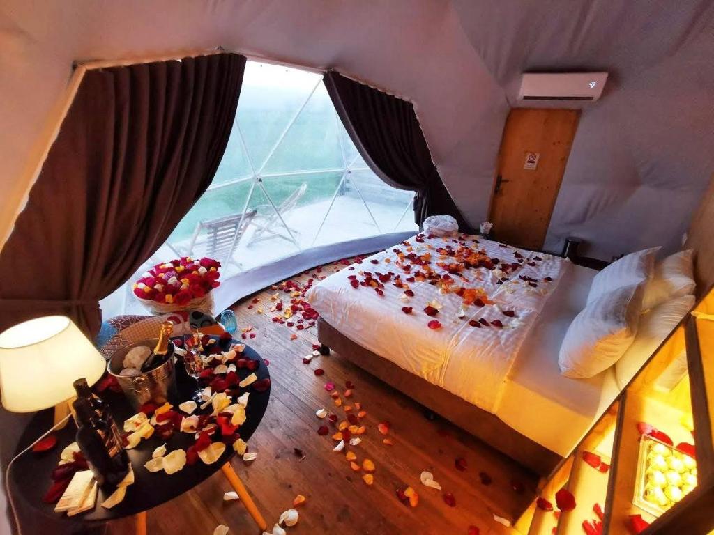 Jewelberry Glamping Hotel Tbilisi photo 4