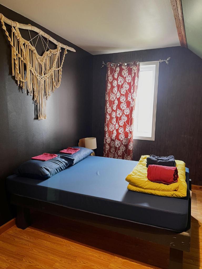 Chill Shack - Auberge Jeunesse photo 4