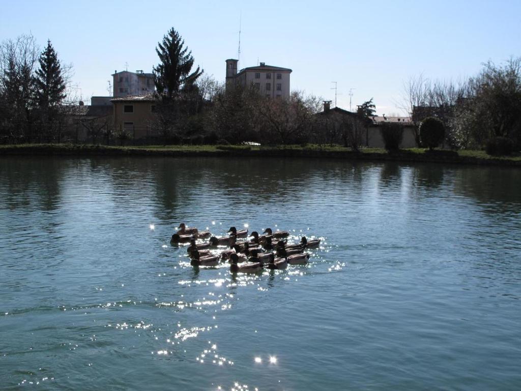 Appartamento Al Vigneto photo 3