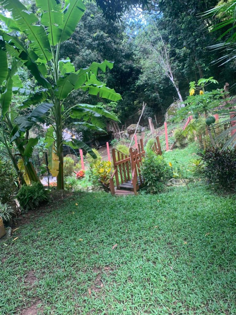Finca Peñitas photo 4