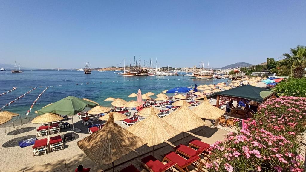Private old stone building in the center of Bodrum 1plus1 photo 3