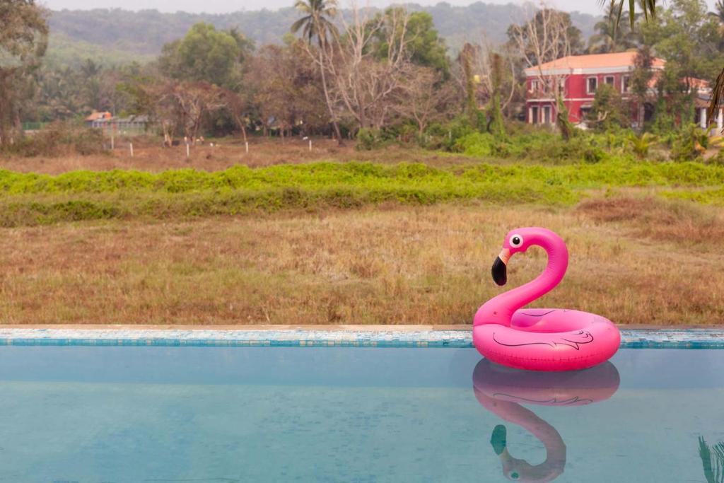 StayVista Bella Antlia 3BHK, with Pvt Pool & Paddy view- Parra, North Goa photo 4