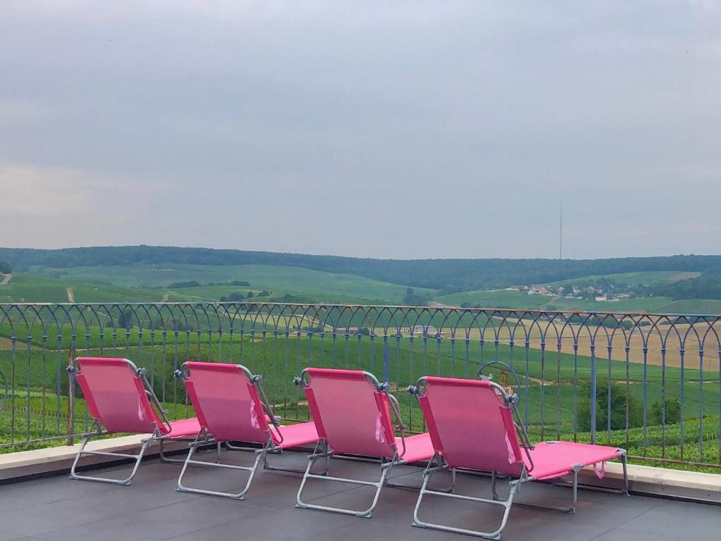 FLORESSENS EN CHAMPAGNE Terrasse privative sur le vignoble photo 1