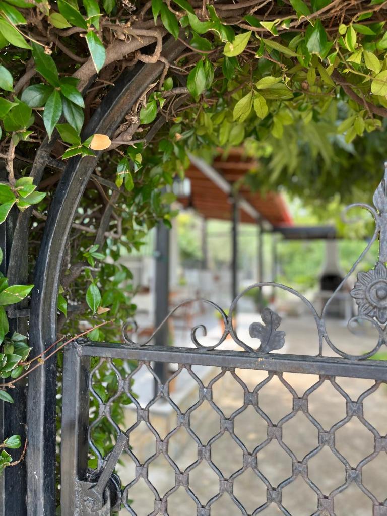 G&S Beach House photo 3