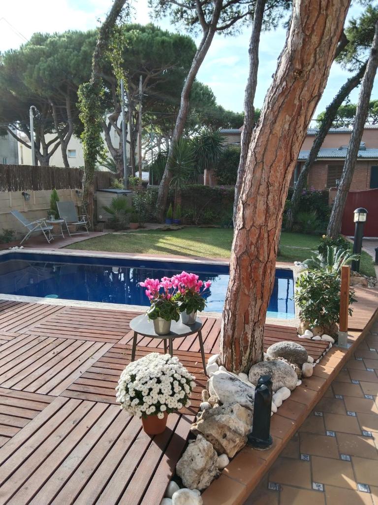 VILLA BELLA ESTANÇA photo 2