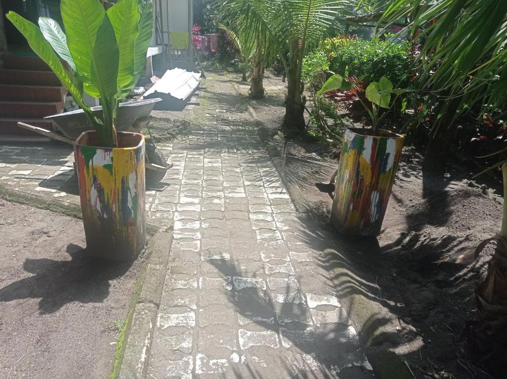 Los cocos Hostal photo 1