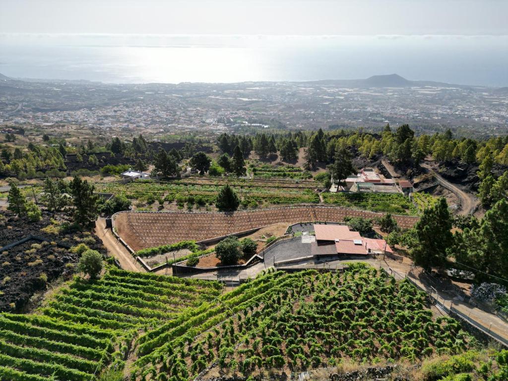 Finca Ecológica Ferrera. Alojamiento Rural.