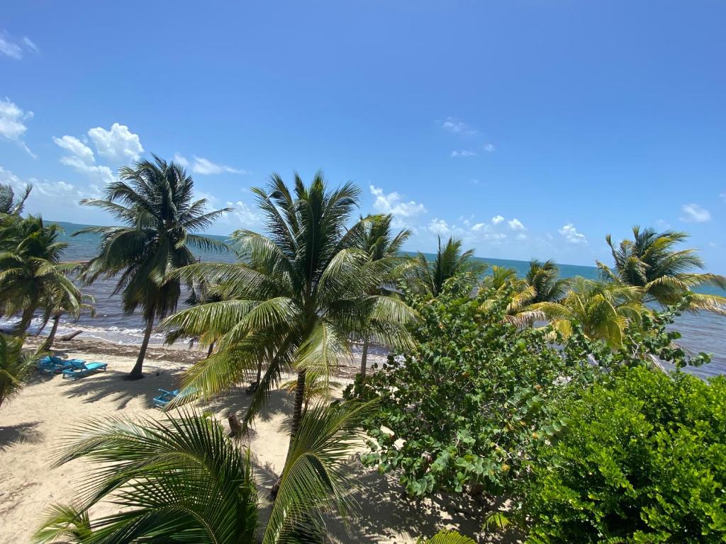 Tranquility Beach Suites photo 1