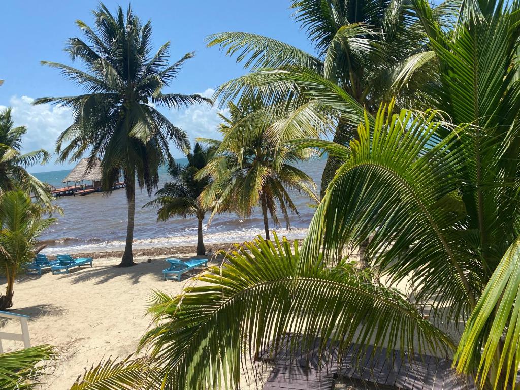 Tranquility Beach Suites photo 3