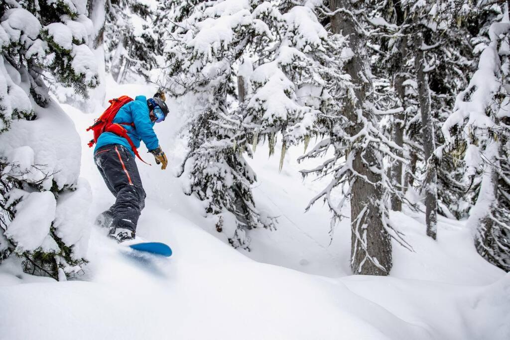 The Qanuk Fernie - Ski In Ski Out photo 2