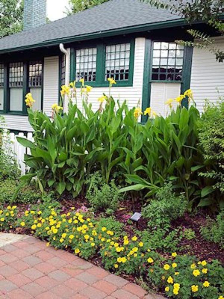 Granbury Gardens Bed and Breakfast photo 2