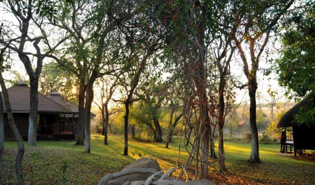 Idube Game Reserve photo 1