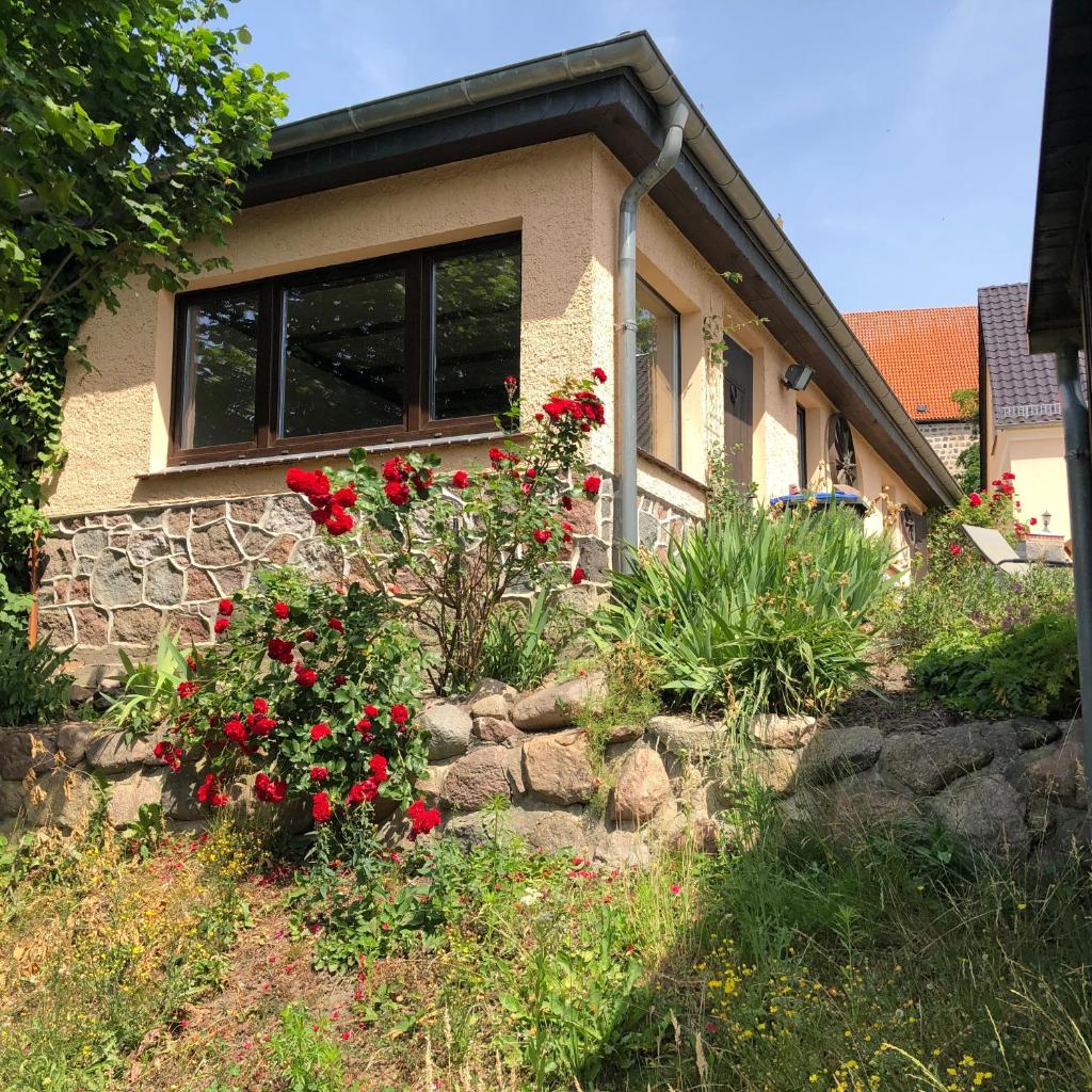 Ferien direkt am Wasser, Uckermark