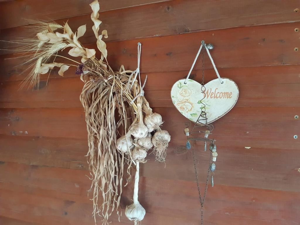 בקתת עץ בחורש במנות - דום גיאודזי - Wooden cabin in Manot photo 2