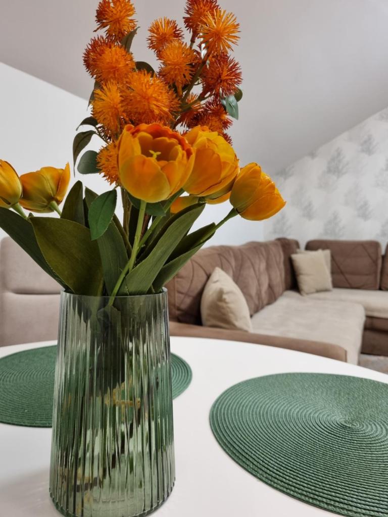 AS Delux Apartmani photo 2