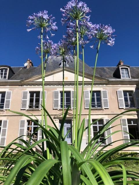 Superb Chateausuites with pool at the Loire & horseboxes for 20 guests photo 3