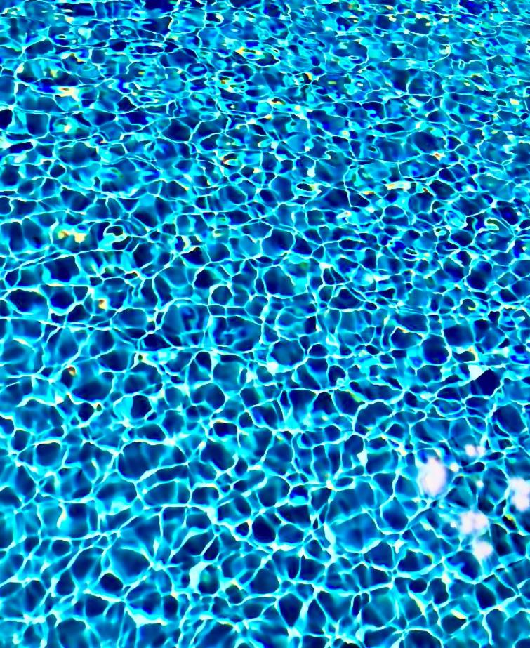 Superb Chateausuites with pool at the Loire & horseboxes for 20 guests photo 4