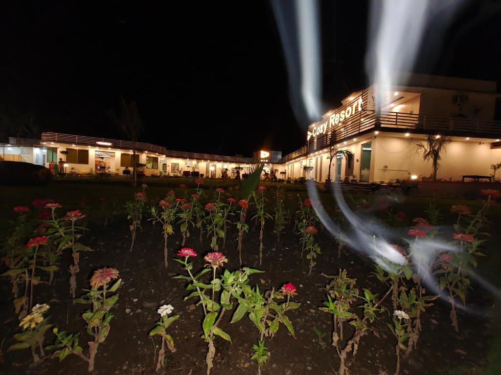D-Cozy Resorts photo 4