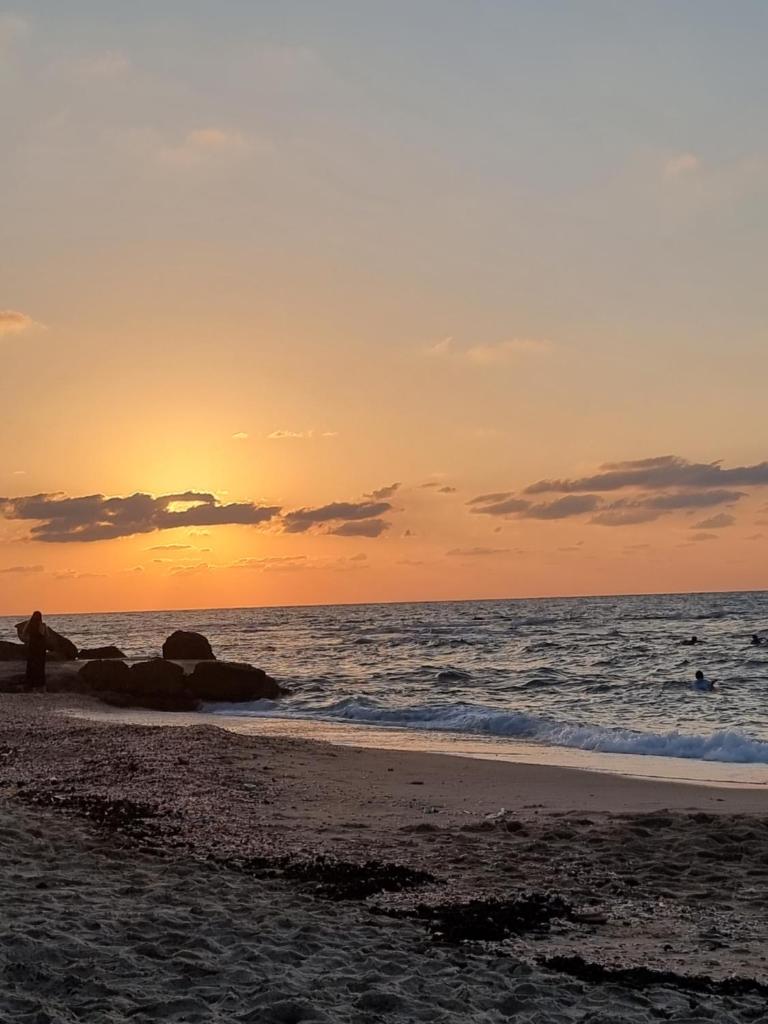 סוויטת בוטיק נטע photo 3