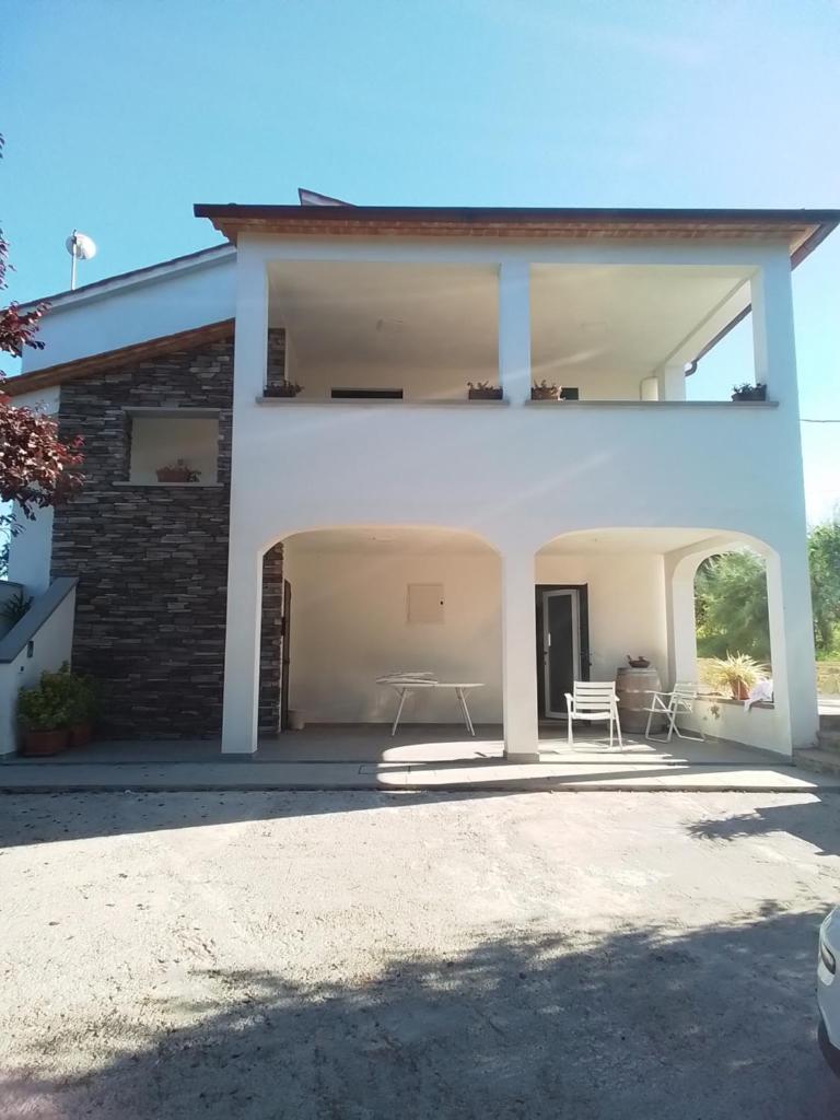 Il salice photo 3