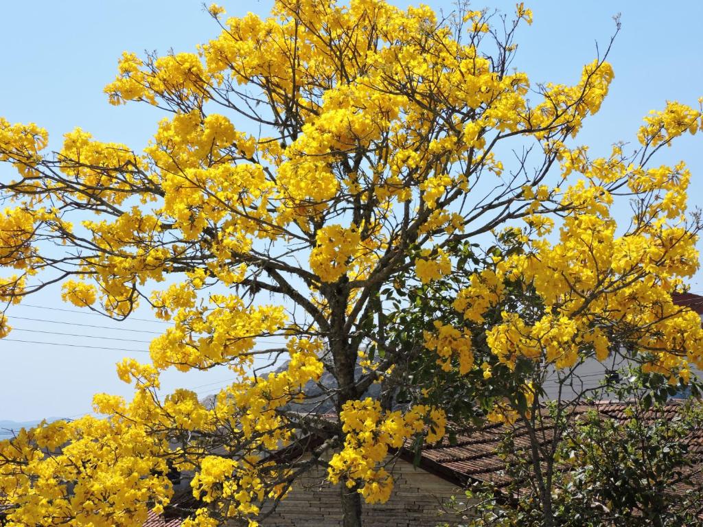 Pousada Casa da Serra photo 3