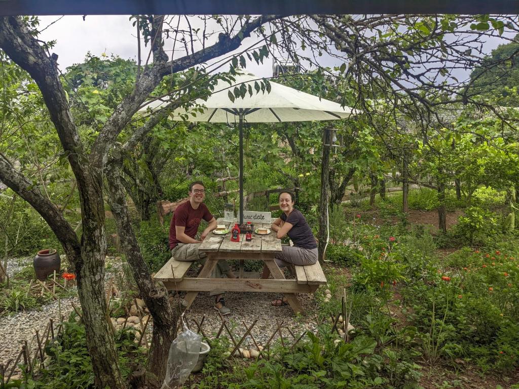 Plum Hill - Moc Chau