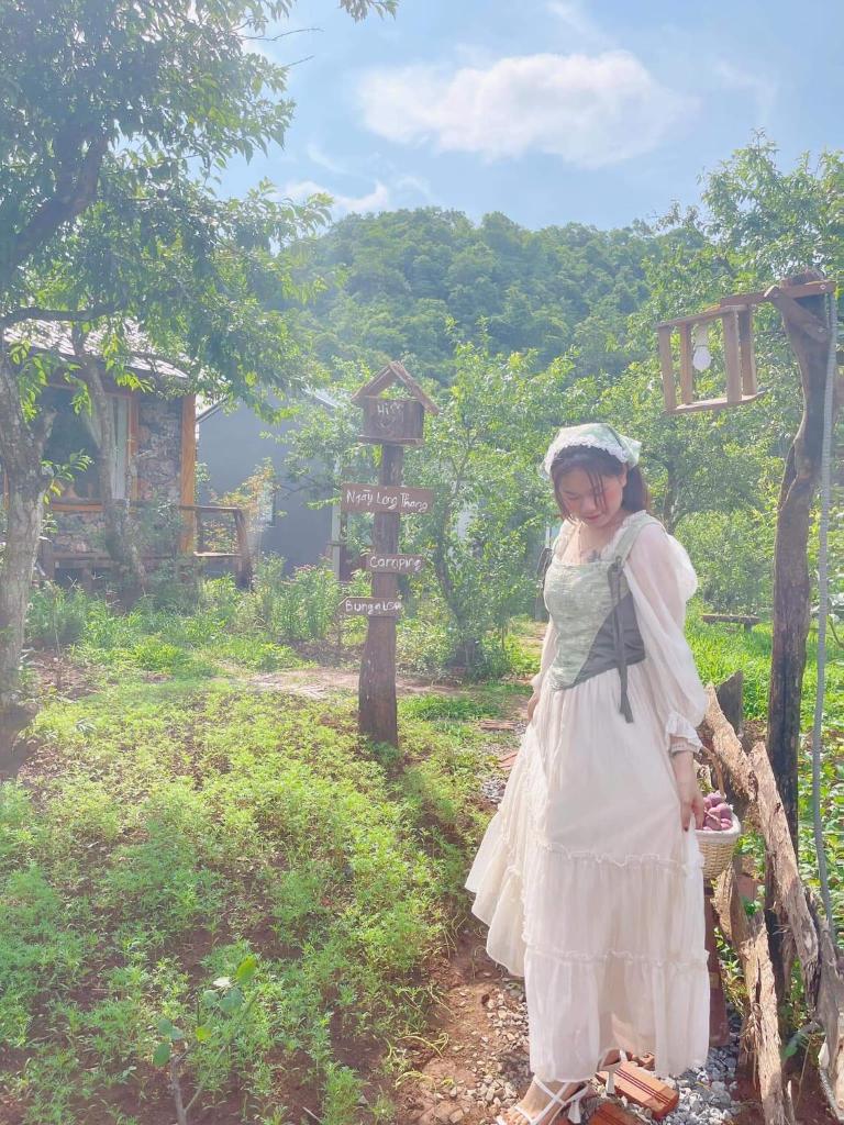 Plum Hill - Moc Chau