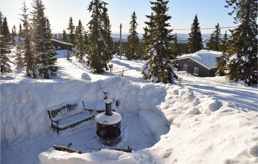 Nice Home In Sjusjen With 3 Bedrooms And Wifi photo 4