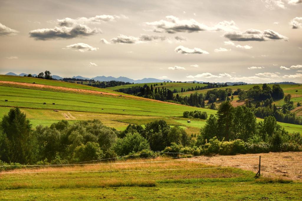 Domek u Zbyszka photo 3