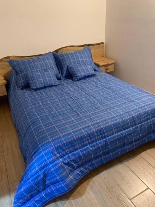 Maravilloso chalet en la zona colonial (303) photo 2