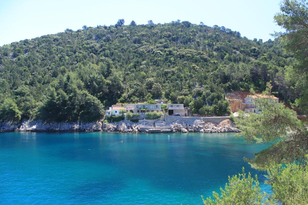 Apartments by the sea Cove Mala Pogorila, Hvar - 8952 photo 1