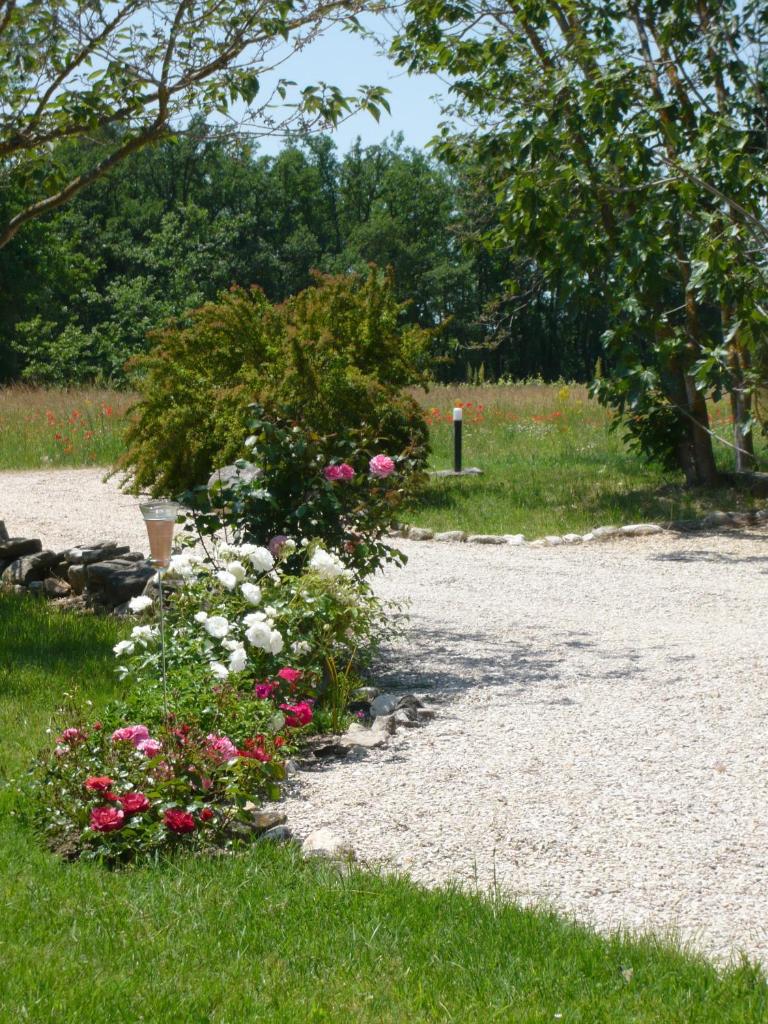 Le Mas Saint Jacques photo 4