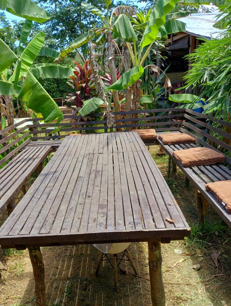 Banana Grove El Nido photo 3