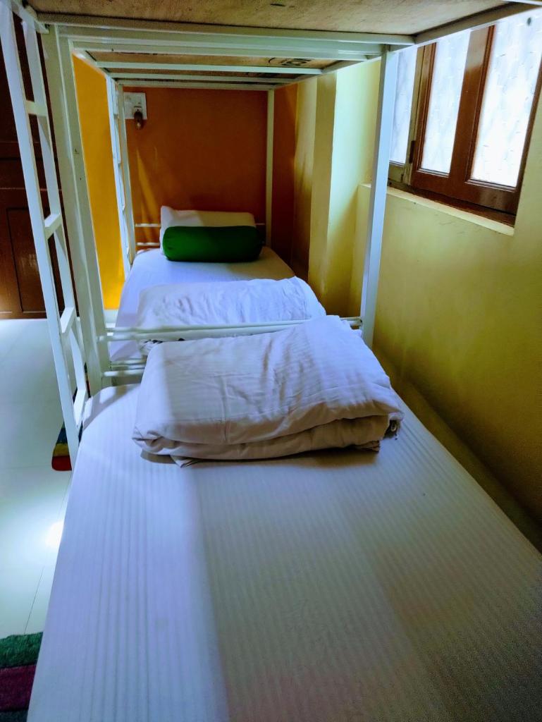 Red Monkeys Hostel photo 3
