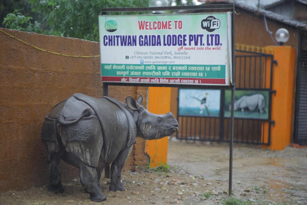 Chitwan Gaida Lodge Pvt. Ltd. photo 2