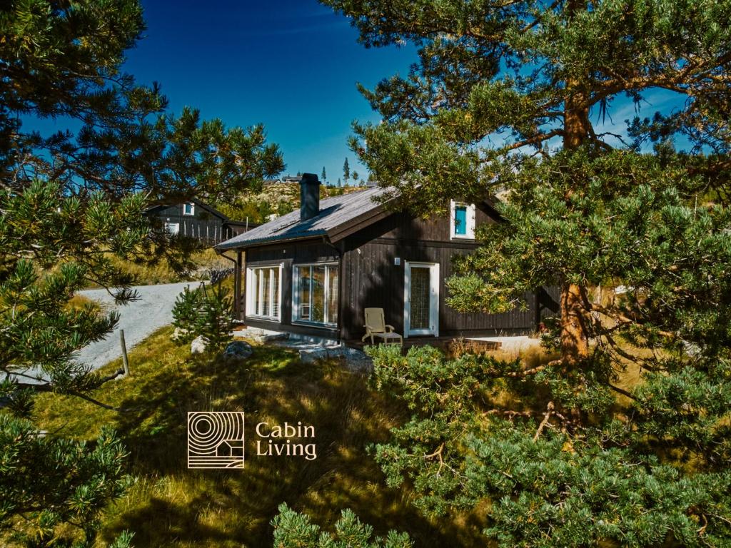Great cabin in Hemsedal wifi golf ski eldorado photo 4