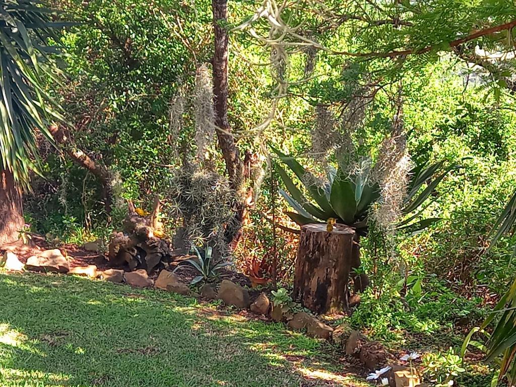 Terryton Country Estate photo 2
