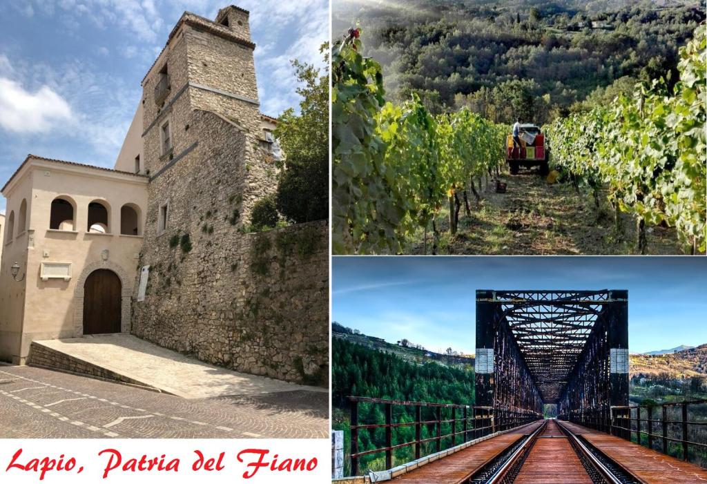 B&B Il Tiglio photo 4