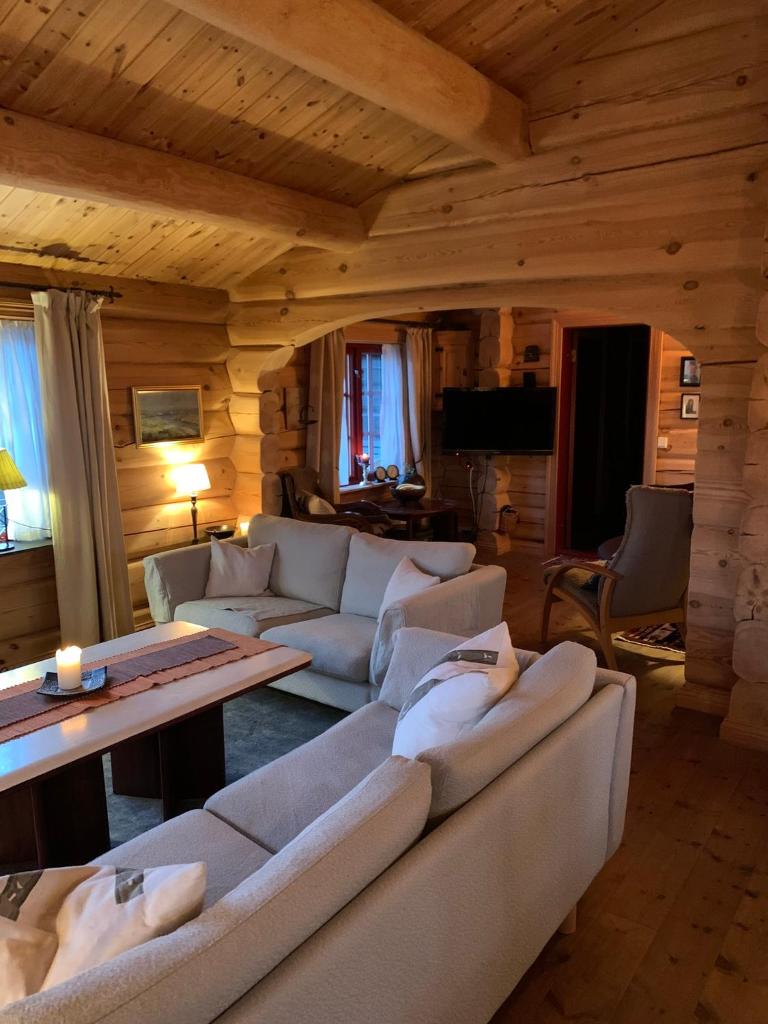 Havretunet på Havrefjell-cozy cabin with jacuzzi photo 1
