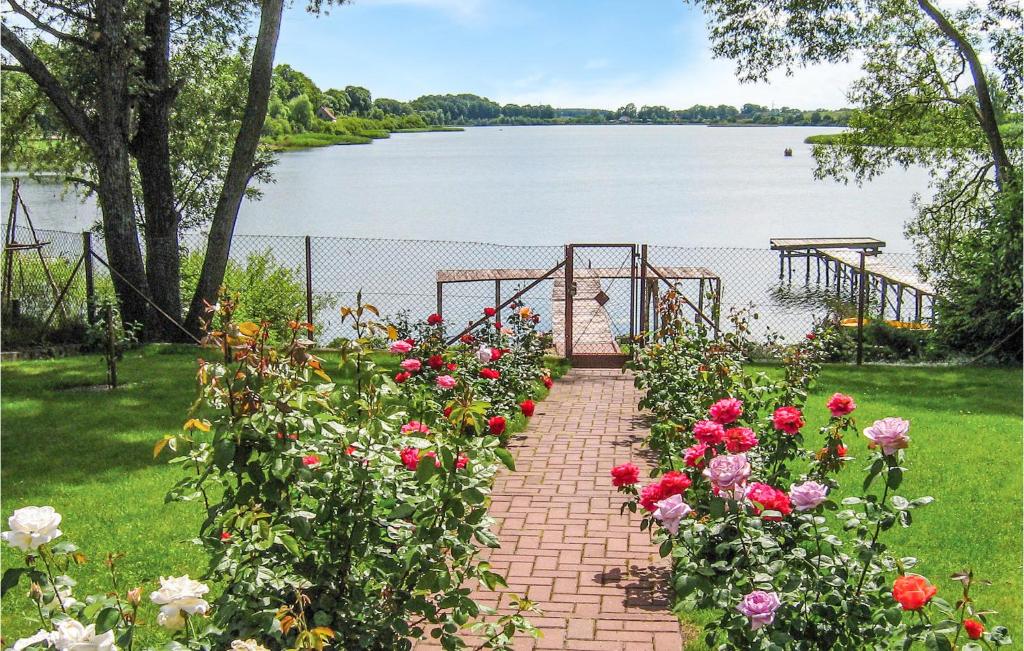 Awesome Home In Dzwierzuty With 3 Bedrooms And Wifi photo 3