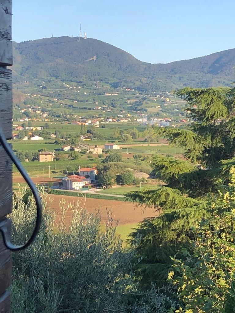 Rustico del vigneto