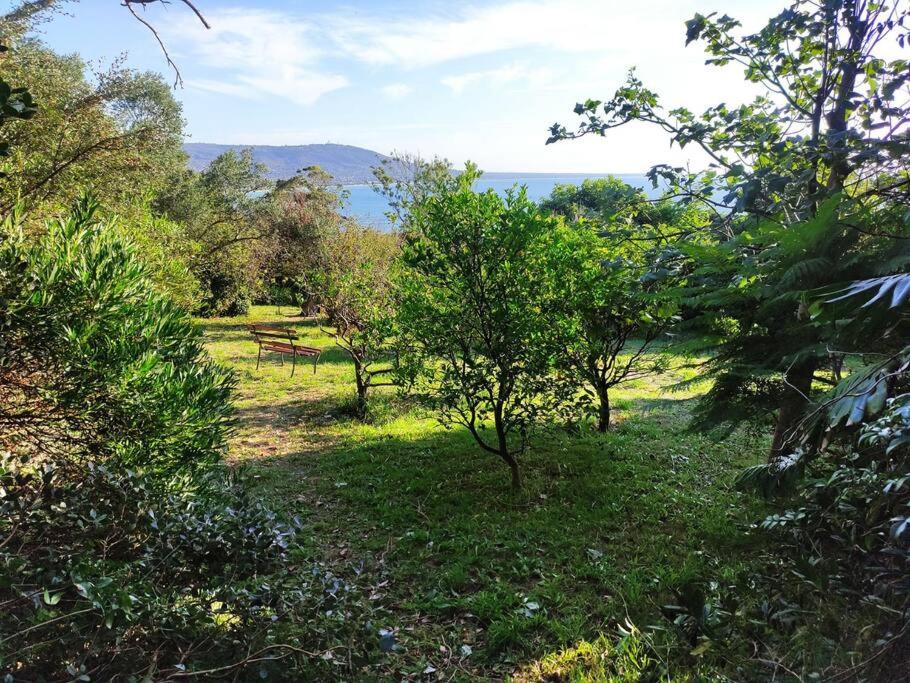 Bay views on Acreage Family Home Orchard photo 4