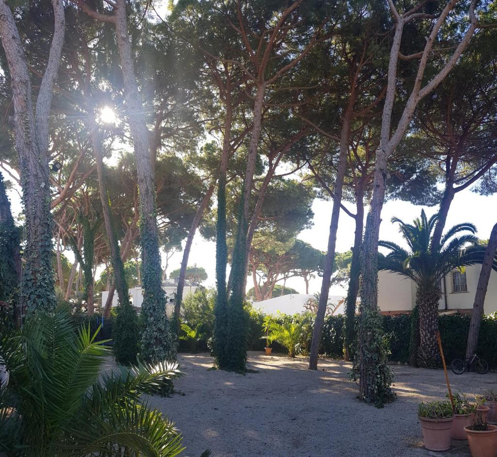 Enjoy your holidays 300m to the Mediterranean sea at Villa DIVALI photo 2